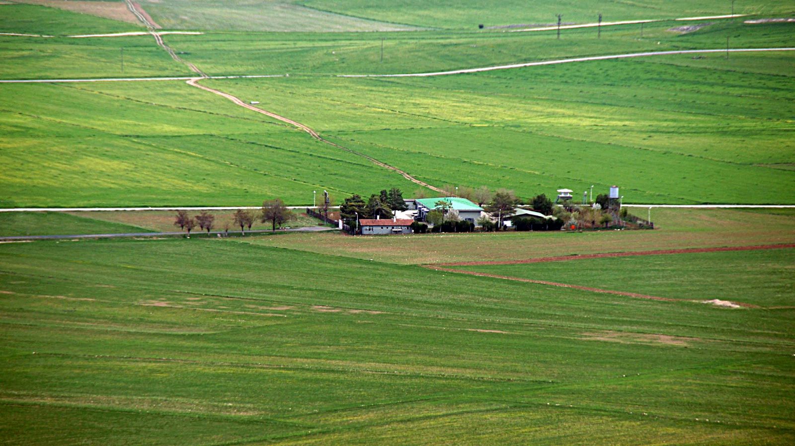 Ali Sevim'in Albm