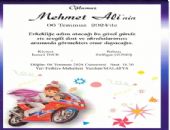 Mehmet Ali GNE'in Snneti - Malatya / Fethiye
